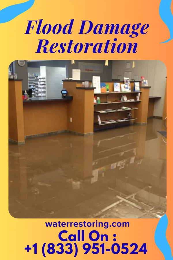 Flood Damage Restoration in Ingold, NC