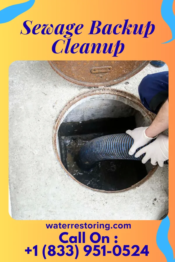 Sewage Backup Cleanup in Ingold, NC