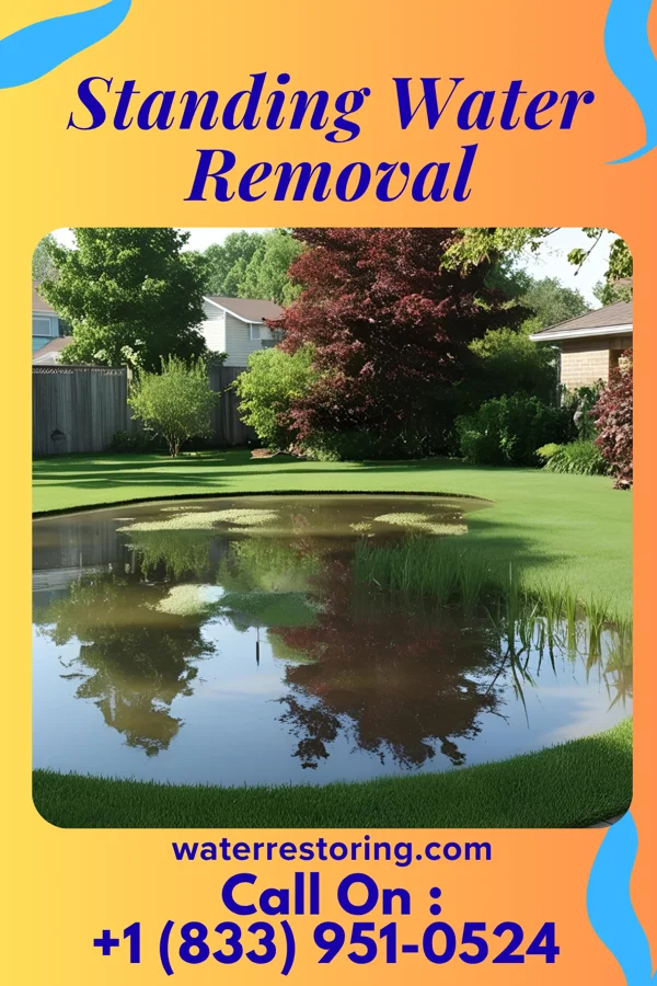 Standing Water Removal in Ingold, NC